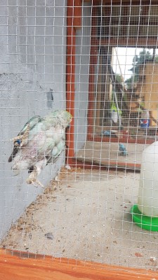 20180731_064459.jpg
