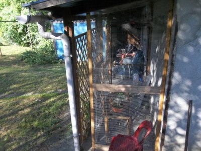 100_5794.JPG