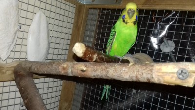 20181012_215829.jpg