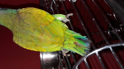 20181125_142106.jpg