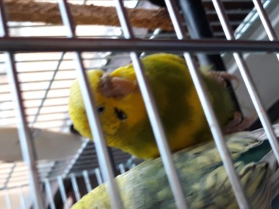 20181216_133230.jpg