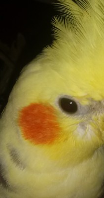 20190117_201447~2.jpg