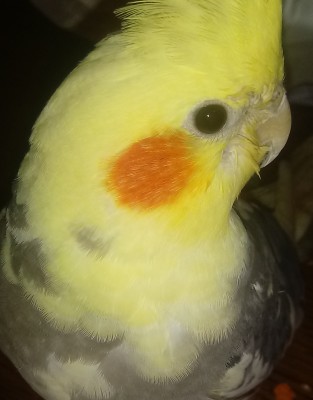 20190117_201415~2.jpg