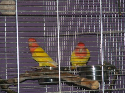 DSCF0188.JPG