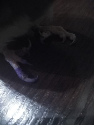 IMG_20190227_184558.jpg