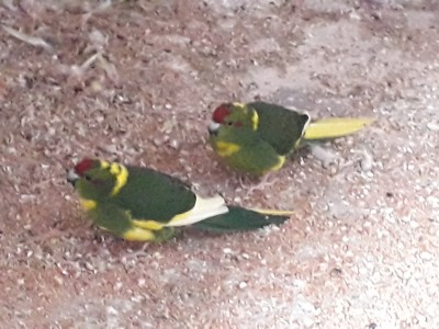 20190308_153155.jpg