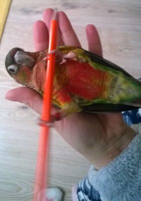 WP_20190309_002.jpg