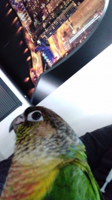 IMG-20190330-WA0001.jpeg