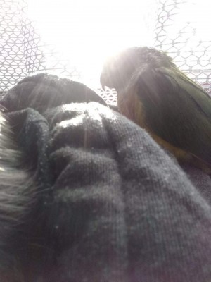 received_545151956007608.jpeg