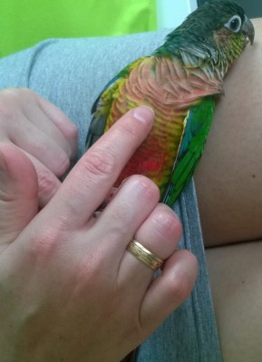WP_20190525_007.jpg