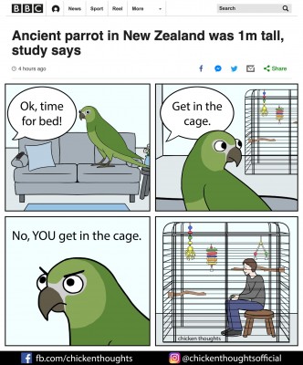 heracles chicken thoughts.jpg