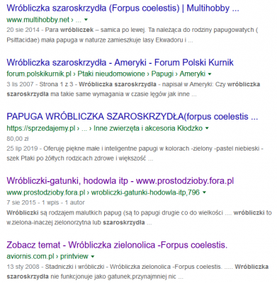 Screenshot_2019-11-16 wróbliczka szaroskrzydła - Szukaj w Google.png