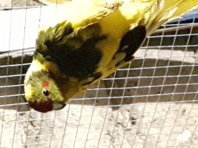 20191125_174618.jpg