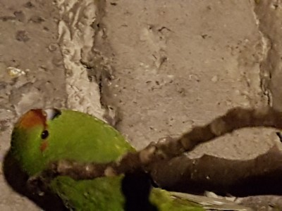 20191125_174452.jpg