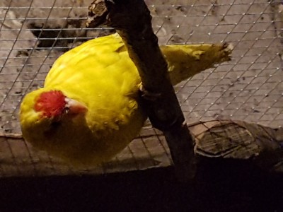 20191125_174440.jpg