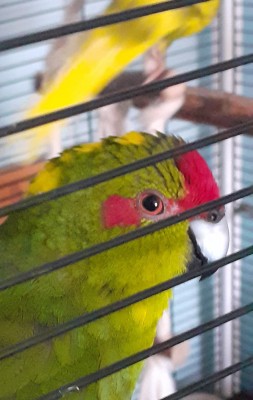 20190923_105258~2.jpg