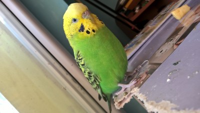 WP_20191101_14_35_27_Pro.jpg