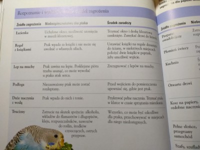 książka2.jpg