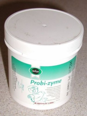 priobiotyk.jpg