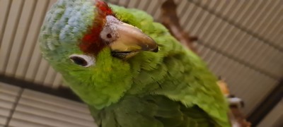 20200508_230843.jpg