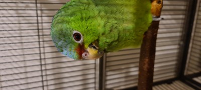 20200508_230839.jpg