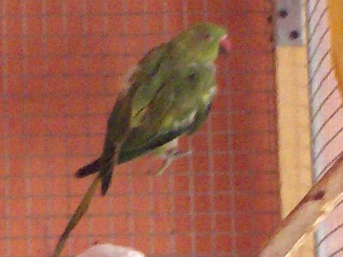 HPIM0133.JPG