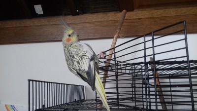 20200905_115714.jpg
