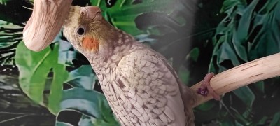 IMG_20220103_200954.jpg