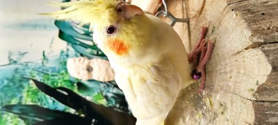 IMG_20220103_200937.jpg