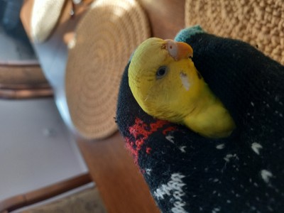 20221027_153814.jpg