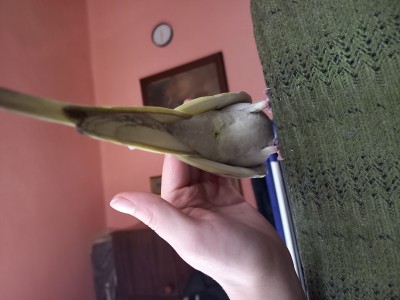 20240228_133031.jpg