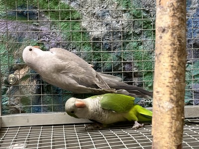 IMG_3975.jpeg