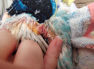 IMG_20250914_162659175_HDR - 1.jpg