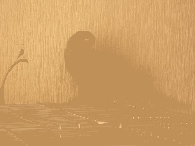 M.JPG