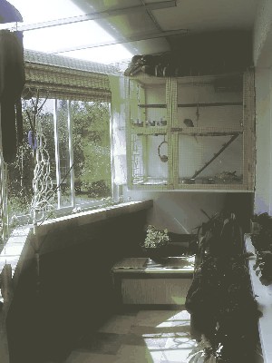 balkon.JPG
